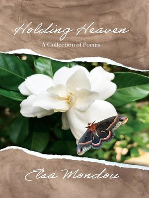 cover image of Holding Heaven